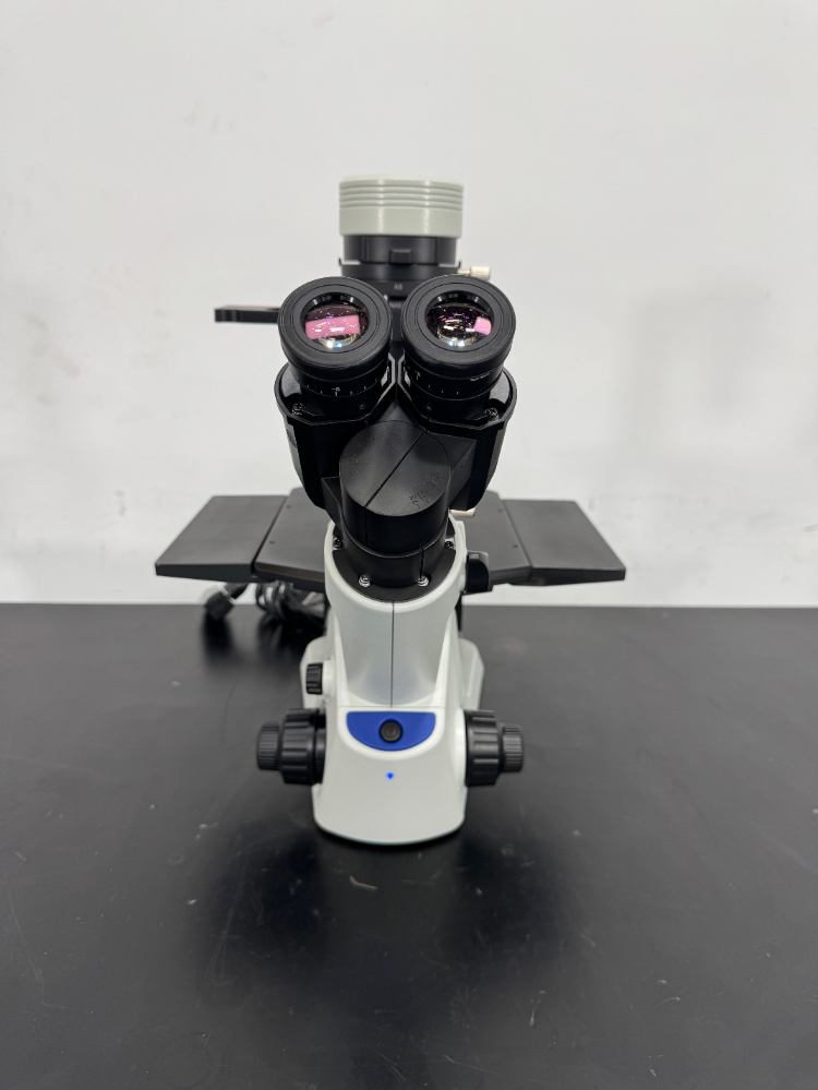 Image of Olympus CKX53 Inverted Microscope